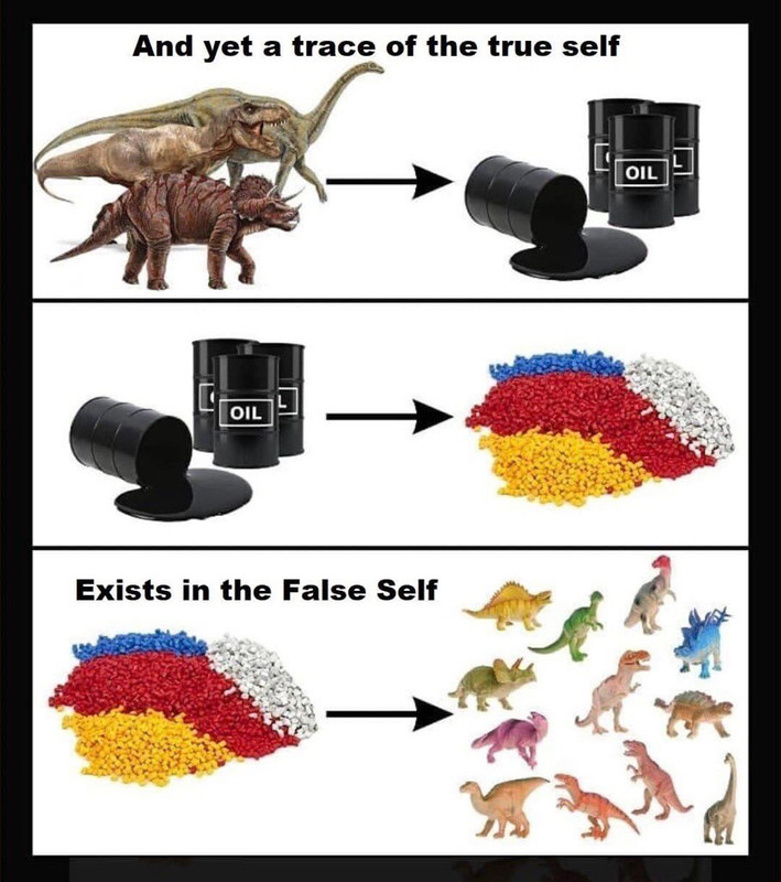 1770668845213.jpg