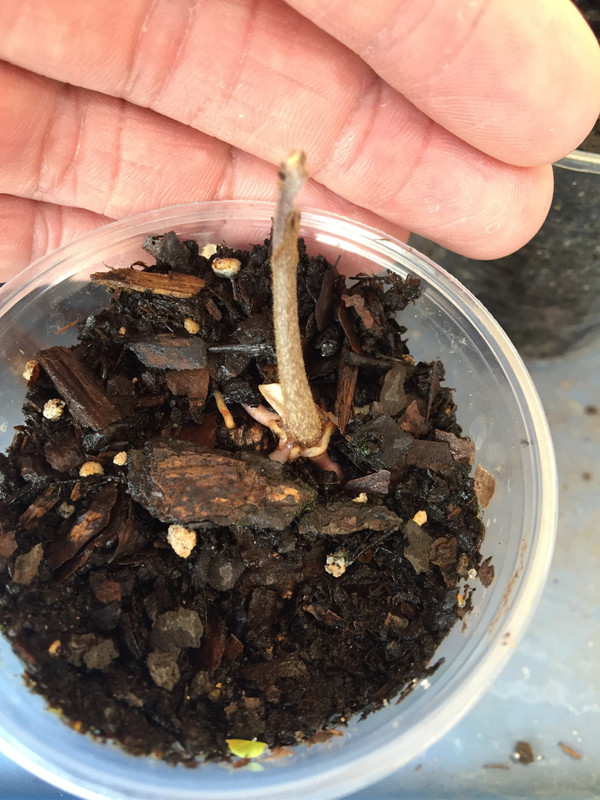 733CF656-8C79-453C-BEC7-99A64EF8A298