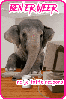 fant1