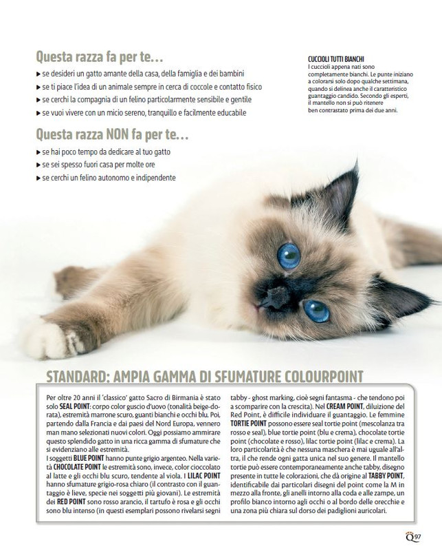 QuattroZampe Set 2024 (10)