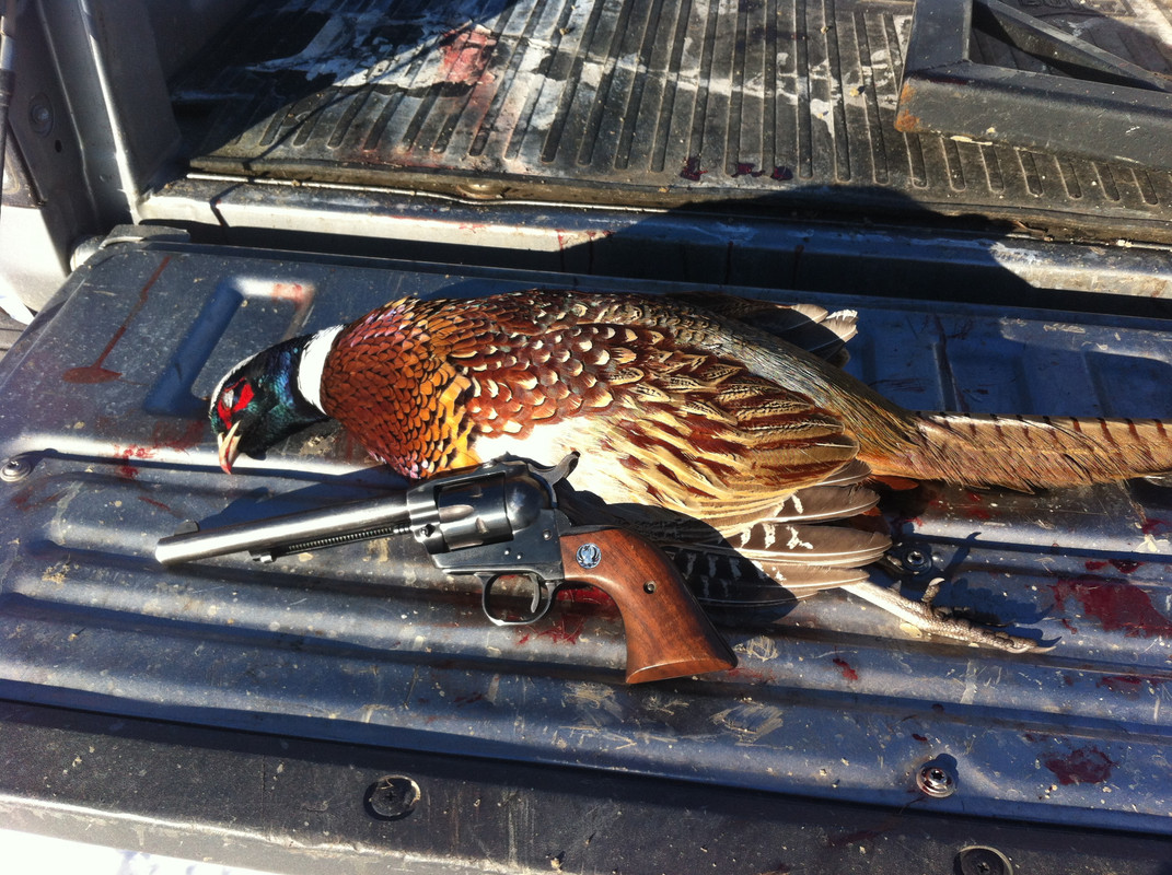 CC909DAE-E16D-438E-835D-4D9DFFE590DB