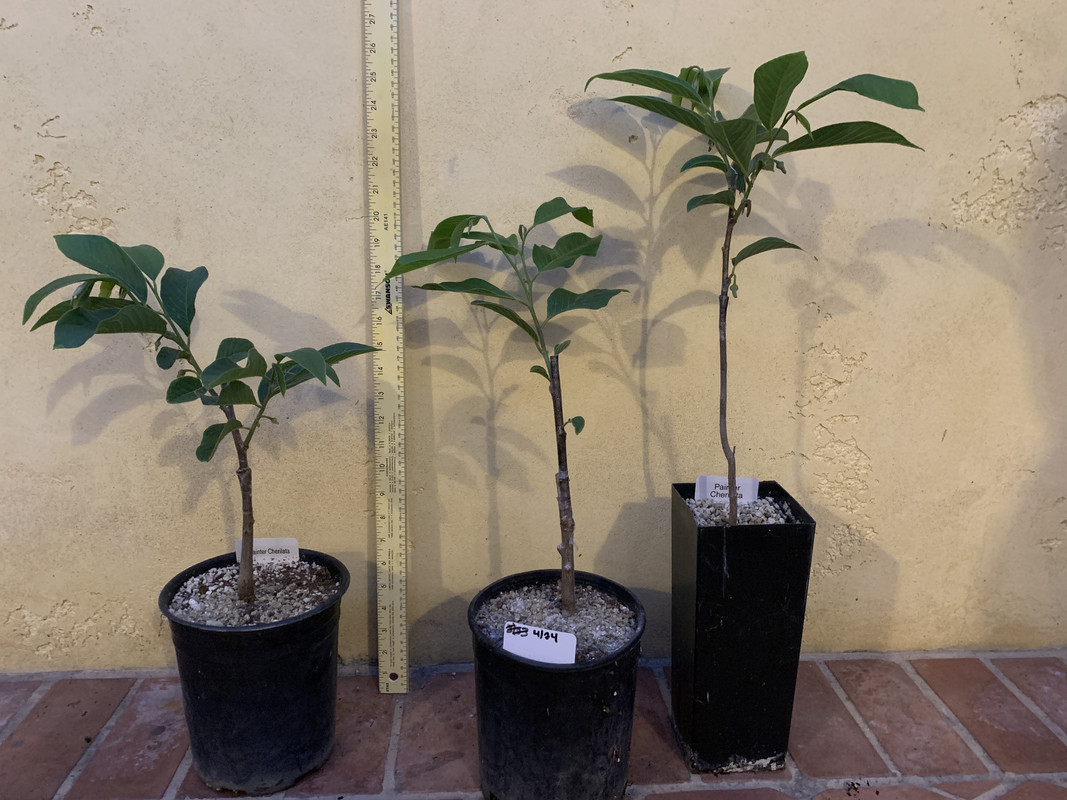 F73FBC40-33C9-4FDA-83A9-AE05C09DE6BF