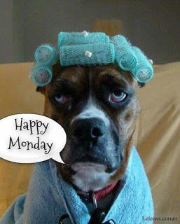 Good Morning, Good Afternoon, Good Evening, Good Night, Good Day! (#2)