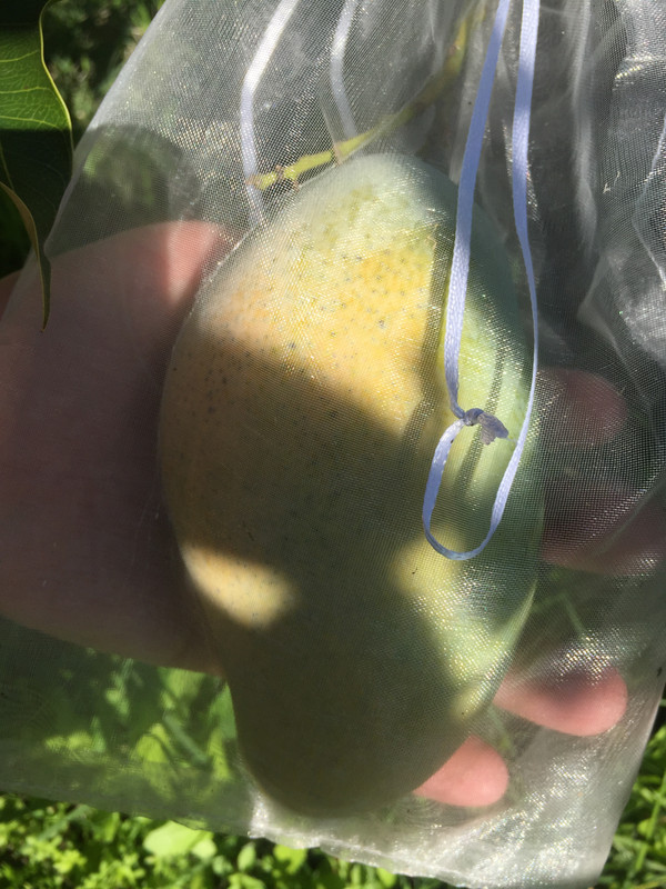 29E481EC-BB53-451A-91BD-C517864773A8