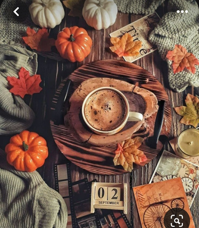 Screenshot_20230905_015854_Pinterest