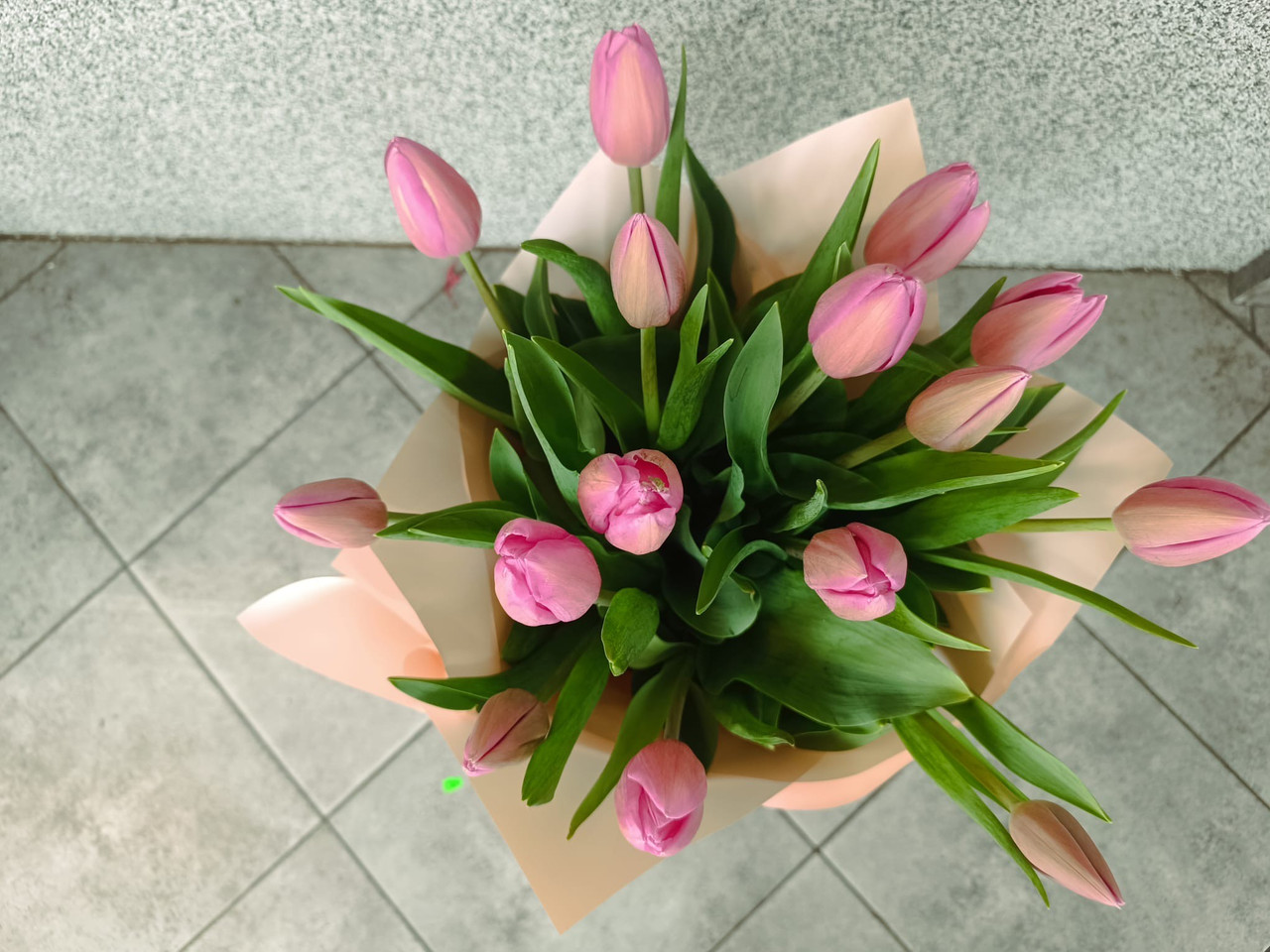 Bukiet z 15 tulipanów