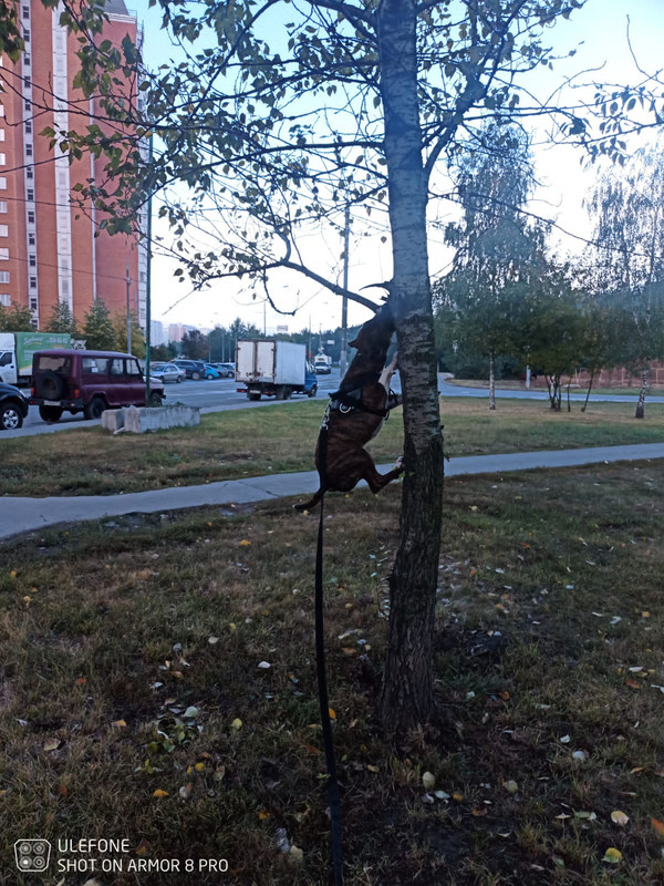 593BC3FB-4A5B-4D67-AC0D-CEF098AD201C