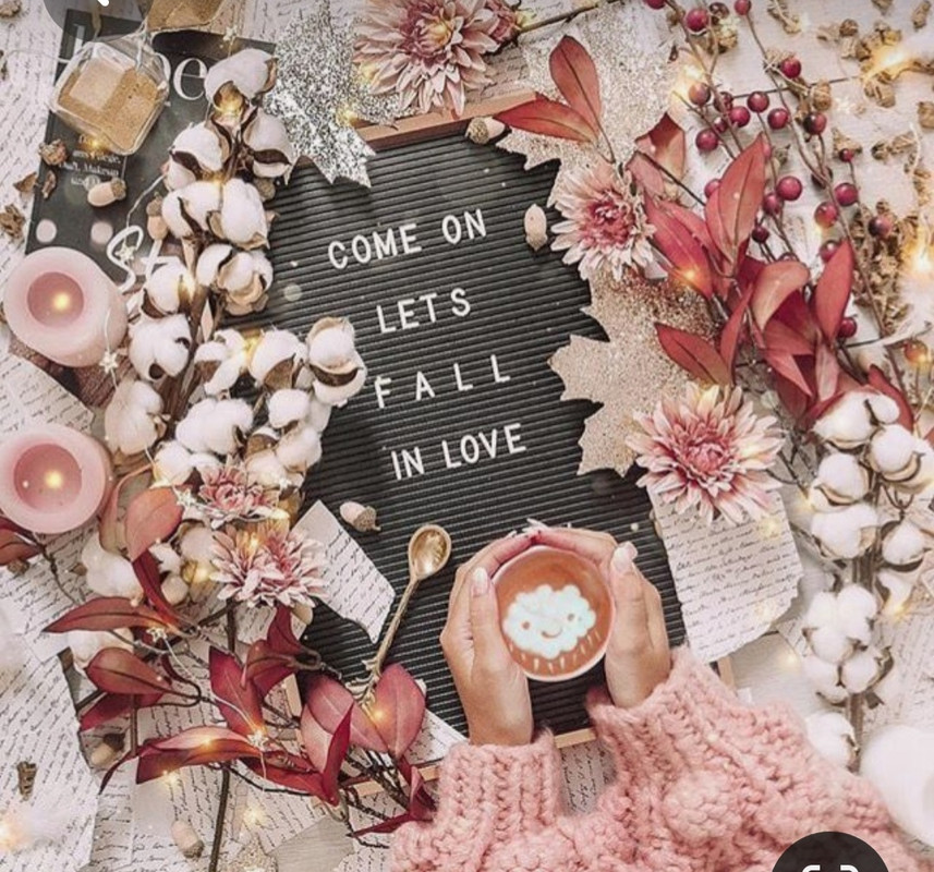 Screenshot_20230501_212946_Pinterest