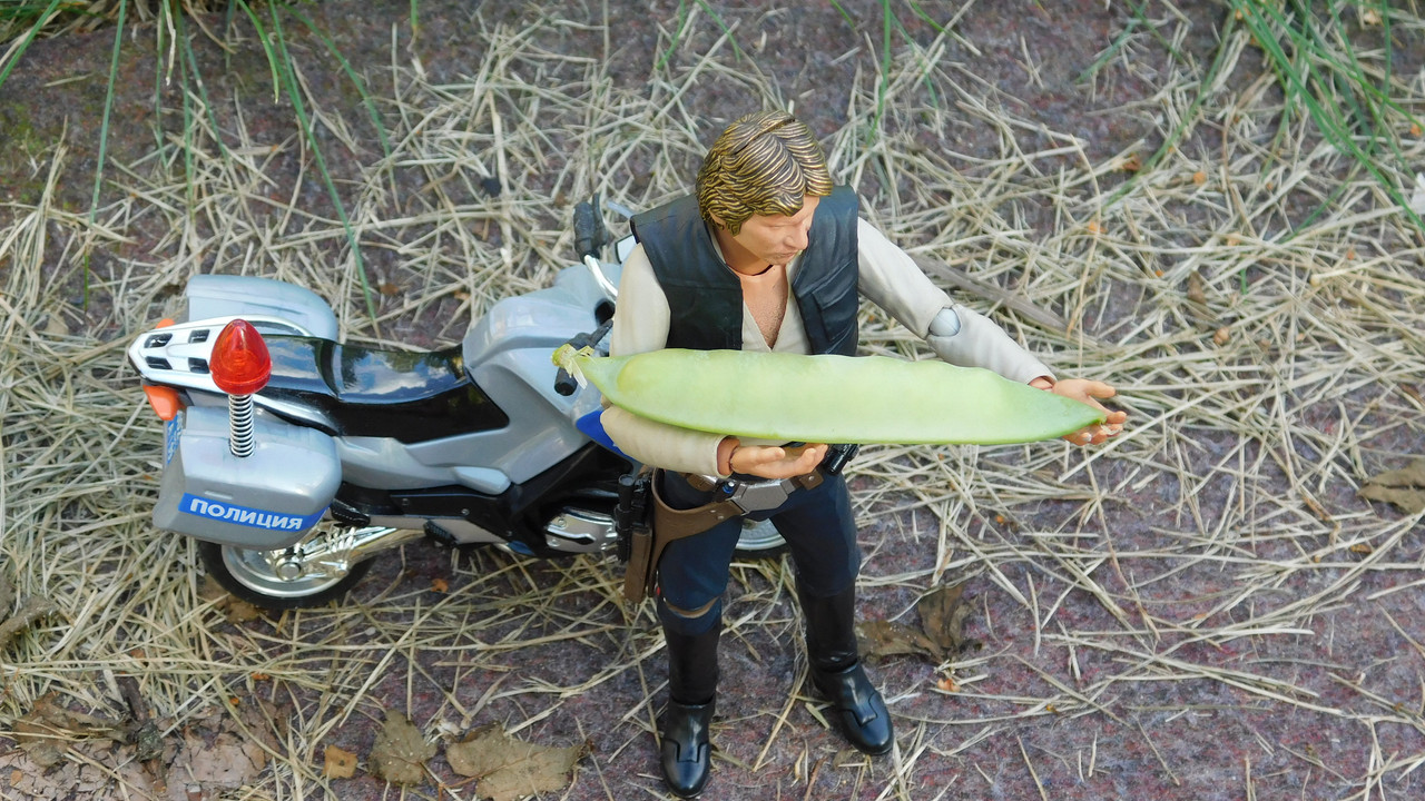 Август дачный кукольный 2023 123