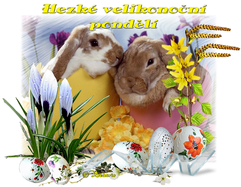 9b0f275e0c-102699111-o2