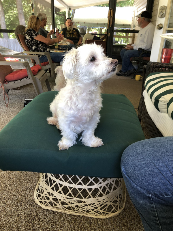 354F8768-BA4F-4F24-814E-14037C011F53