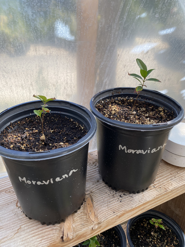 267F6308-77A9-4256-8776-50AC7E7D1186