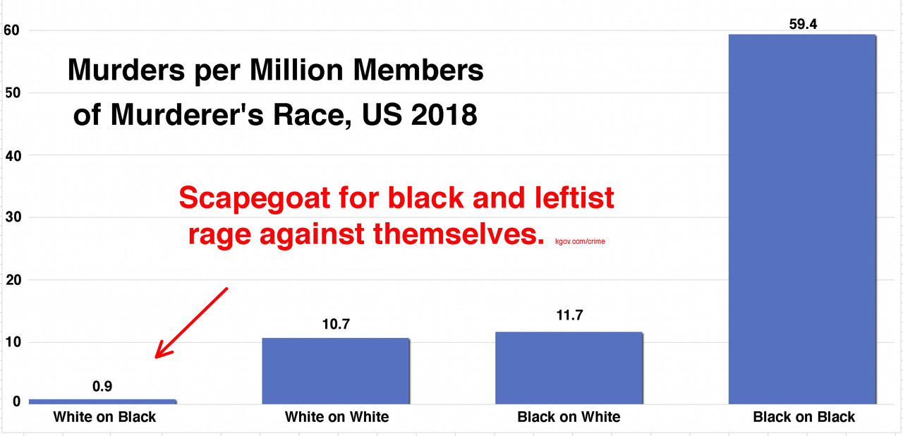 white-black-murders-2018-us-kgov