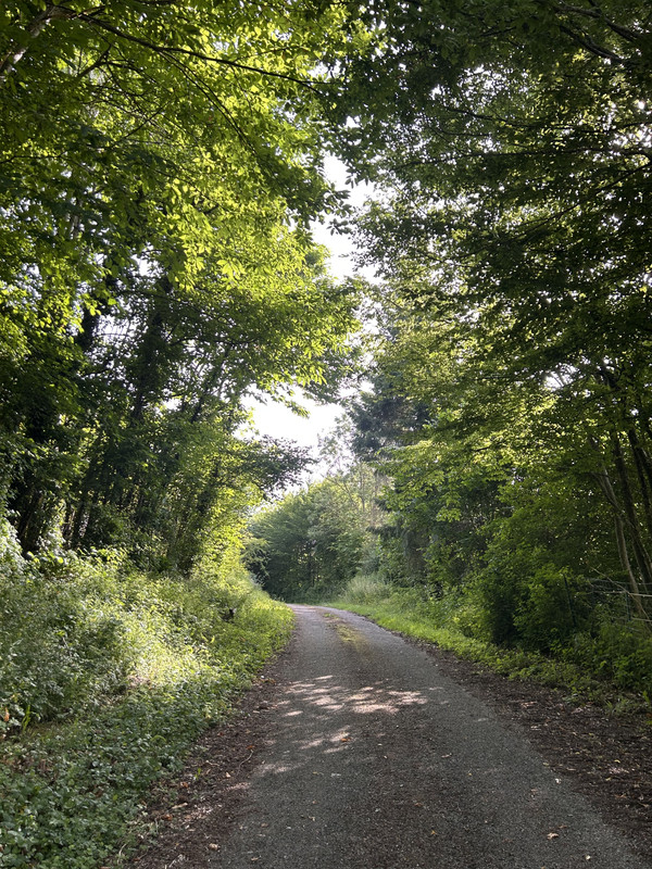 IMG-1425.jpg