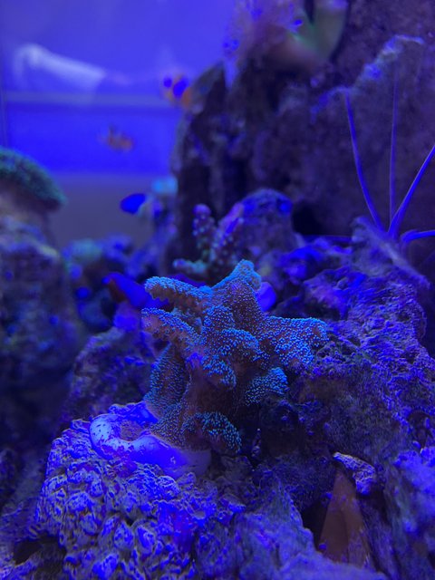 20ECAE45-193D-44A0-8B2A-E018D29D6DF1