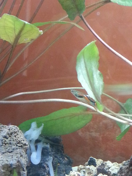 20130918_193449 (Copia)