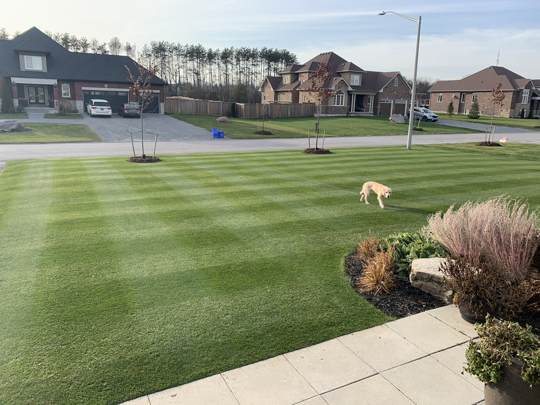 BCEFBEBF-71EE-4D93-A0AC-999DA10CB123