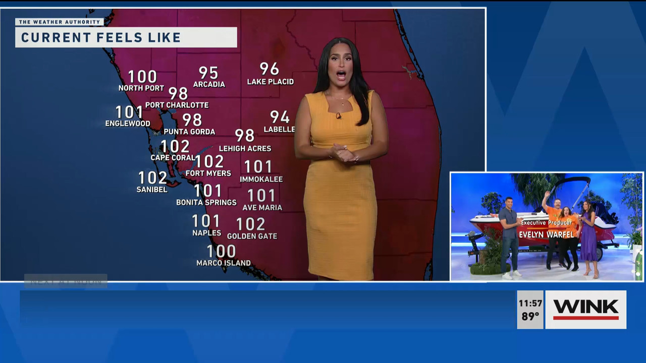 06.15 - 17.00.00 - The WINK Noon News. Midday news update..ts_snapshot_04.13.793