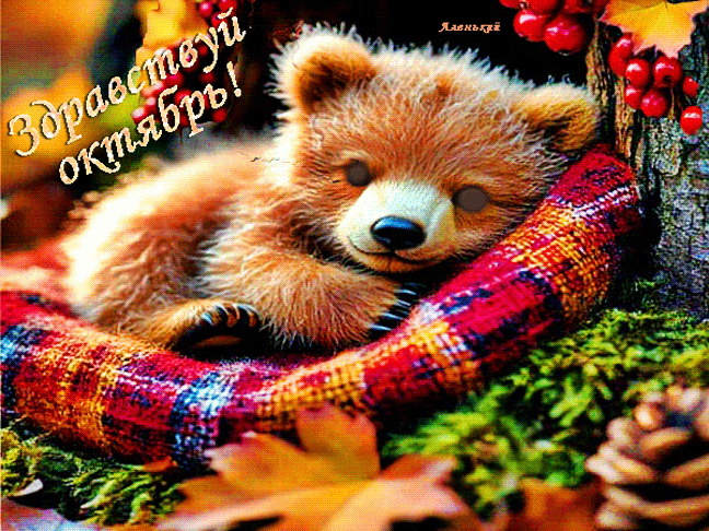 Здравствуй-октябрь!