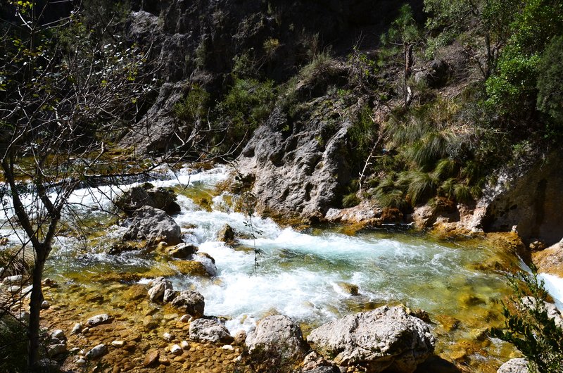 RUTA RIO BOROSA-12-3-2016-JAEN - Paseando por España-1991/2016 (44)