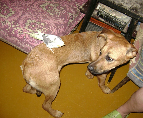 428DEE1A-AD0B-4EDF-AF70-44FBA587CE7E