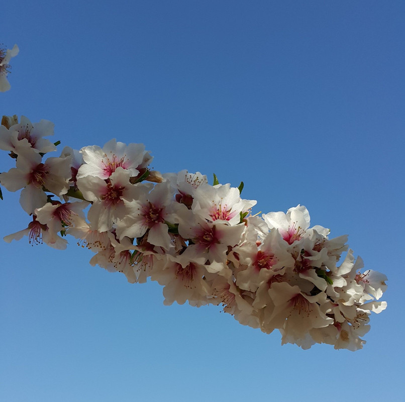 20170225_145137 - копия