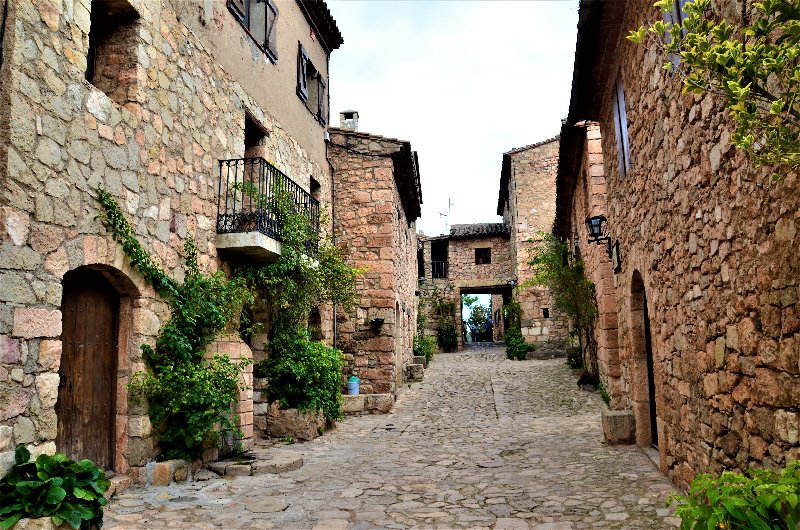 SIURANA-4-11-2016 - Tarragona y sus pueblos-2016 (47)