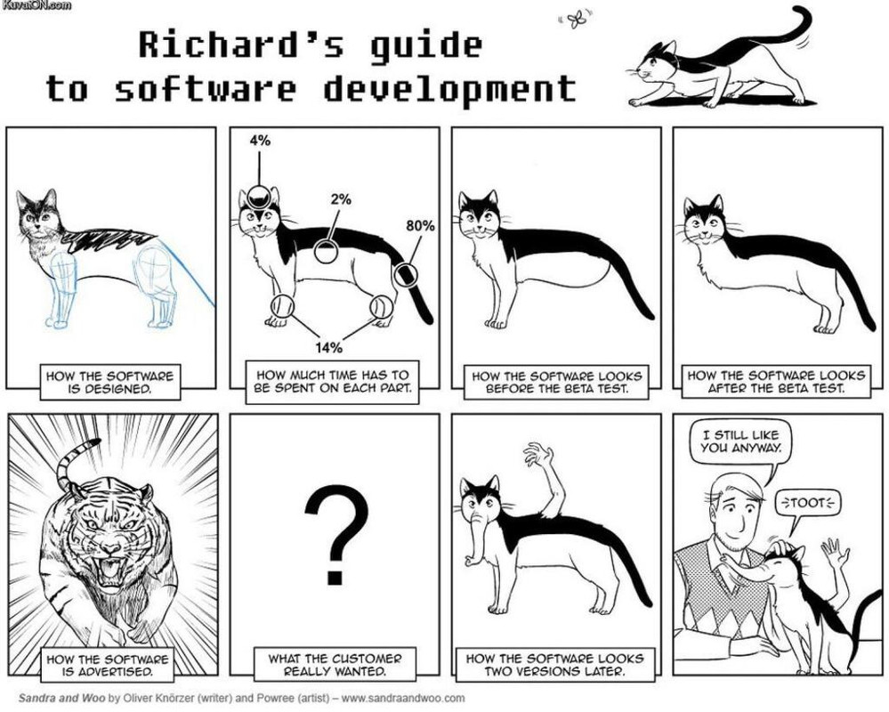 Software-Development.jpg