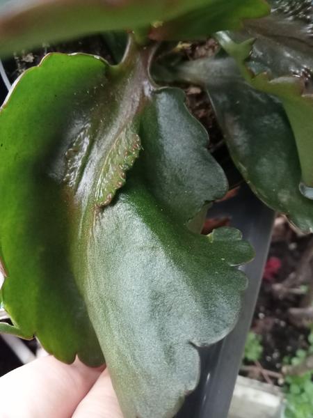 изображение viber 2025 11 28 10 24 51 908