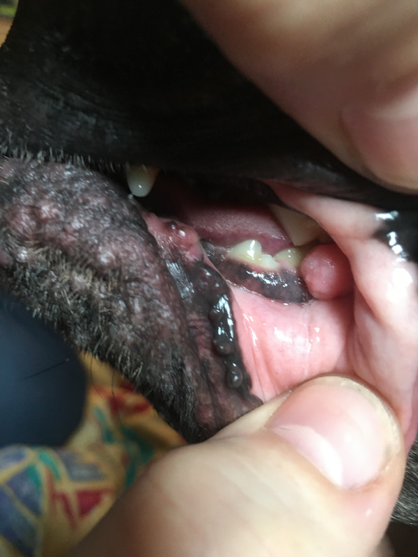 8B2509BB-4E9F-4C78-ADCE-6D01340CA944