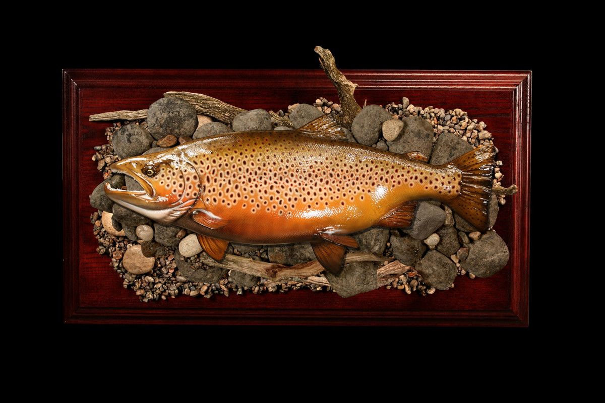 fish-brown-trout4-original