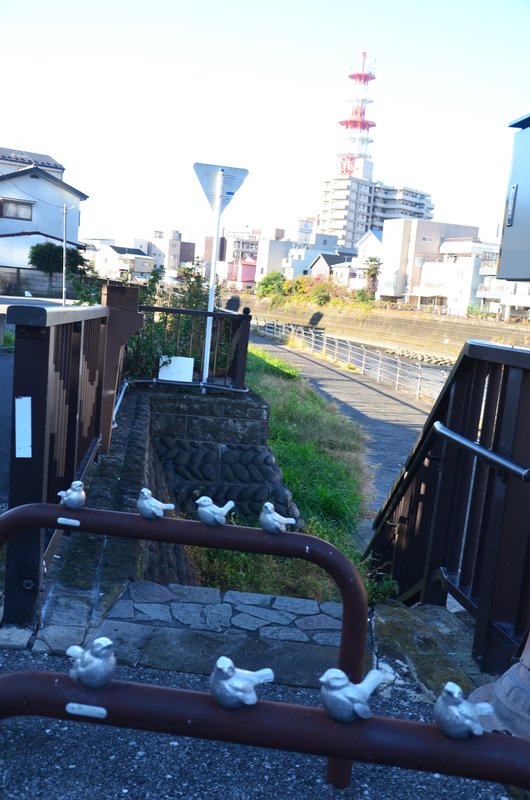 Utsunomiya-13-11-2024 - Japón y sus Pueblos-2024 (40)