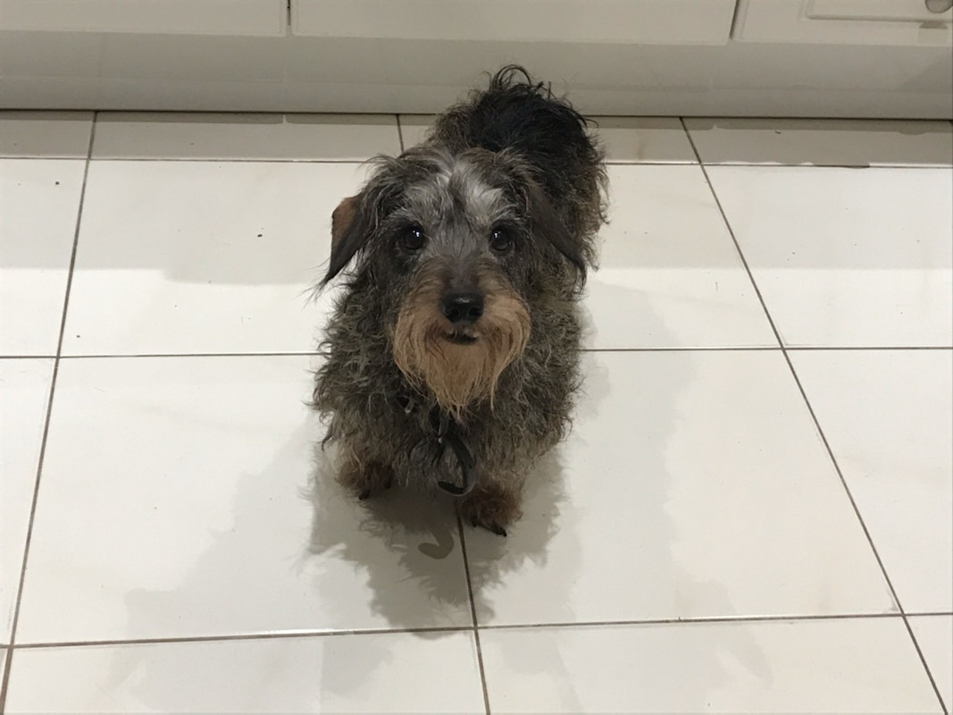 [Image: IMG-20241123-210104.jpg]