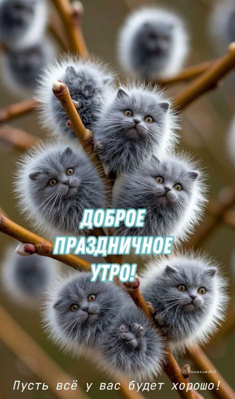 Screenshot-20250413-093017-org-telegram-