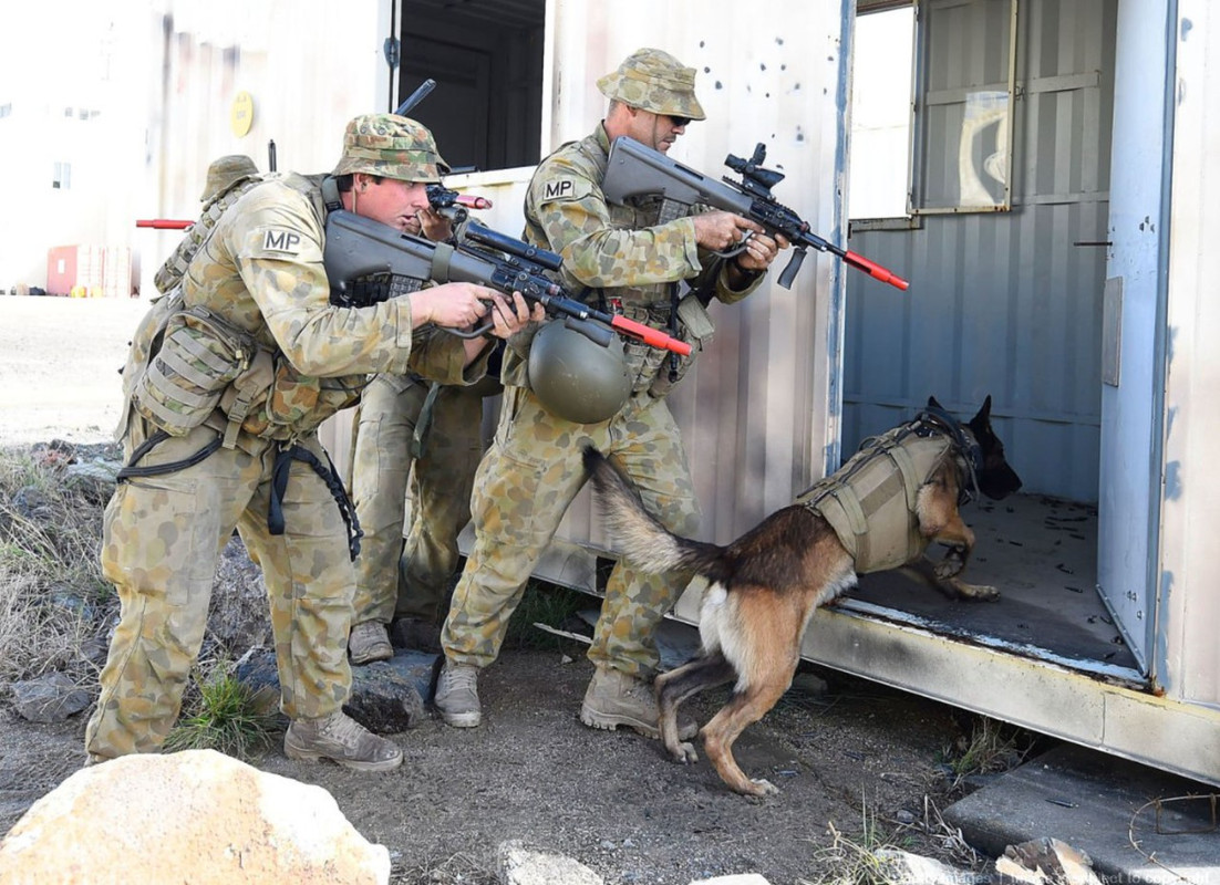 K9  1st Military Police Battalion3