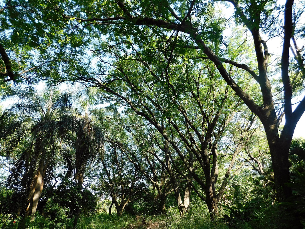DSCN3200.jpg