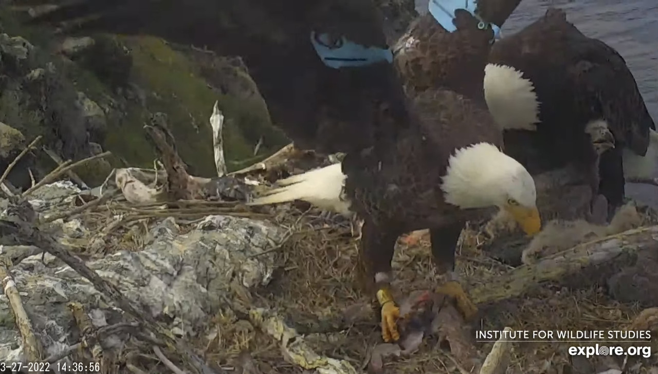 941D296D-922F-404D-8D78-E6C6C28A7B5D