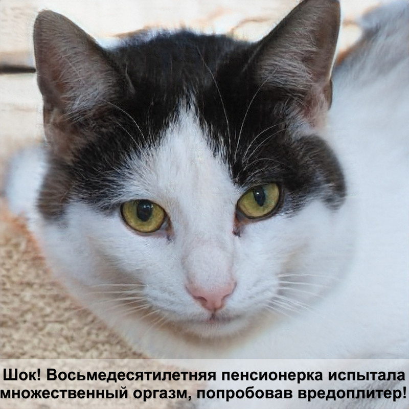 капли от отита для кошек