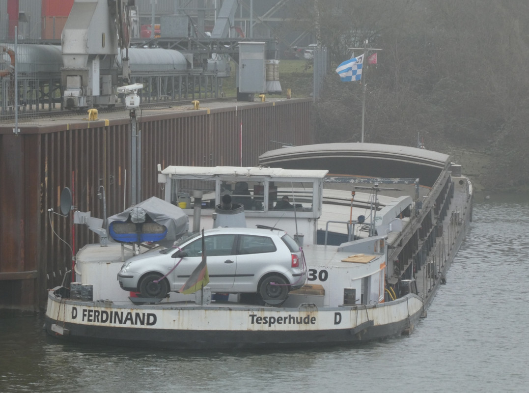 2021.03.01g Ferdinand