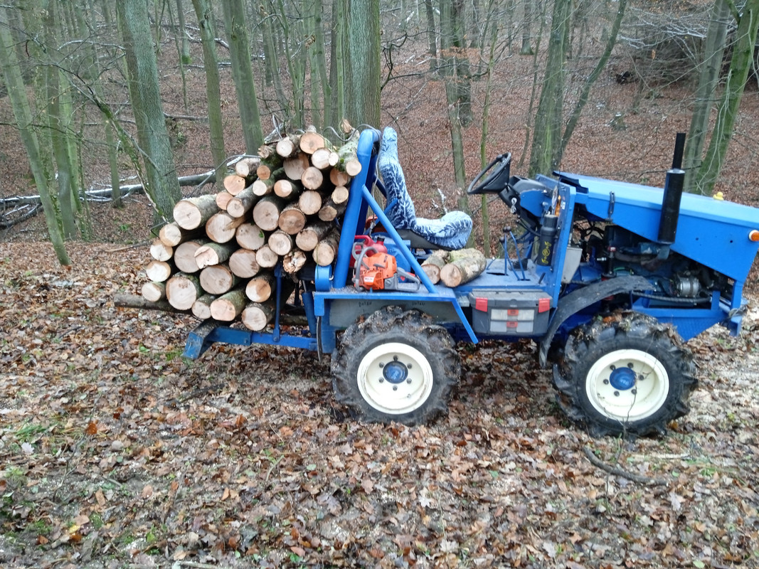 IMG_20211127_134519_1