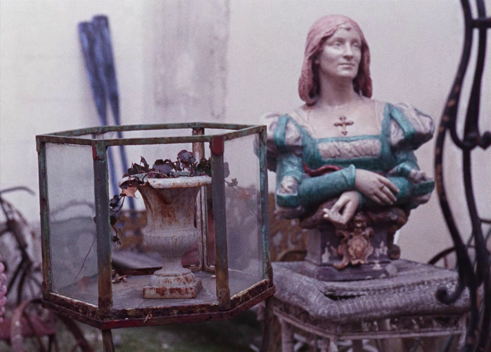 vlcsnap-2025-01-12-19h31m44s069