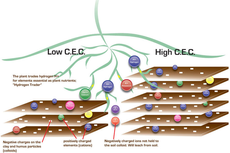 cation image 2 Superior-Custom-Fertiliser-CAC