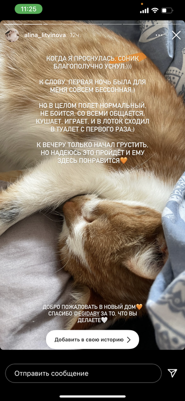 10380758-2466-4C00-942A-CF8154480B38