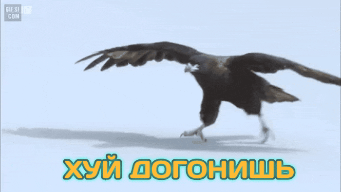 GIF-20250829-074232-168.gif