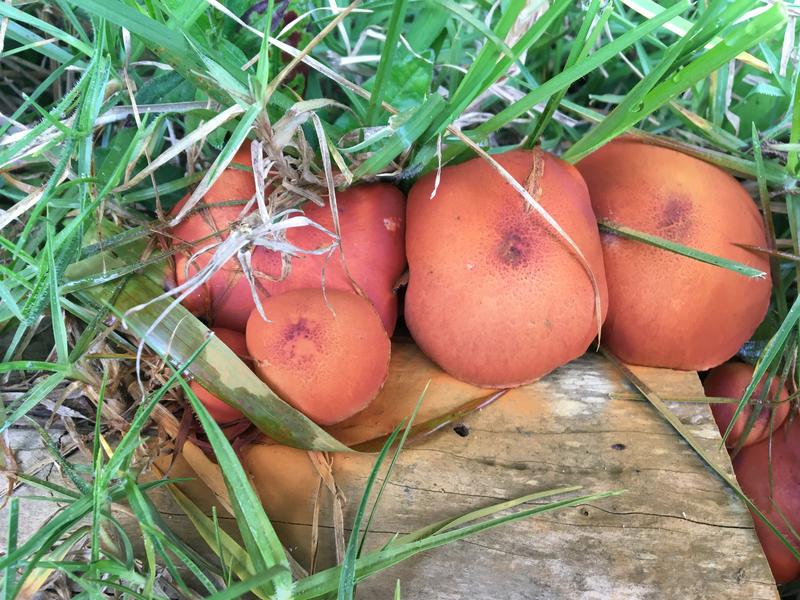 E3852104-1A8F-45B3-976D-73412A96FA75