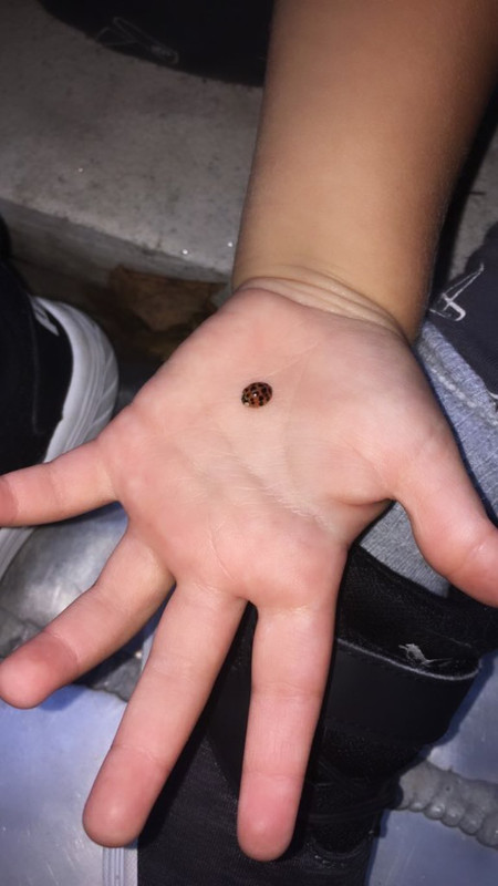 angelcandices~1555956997~2027836741750366635_43114731