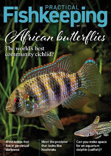 Practical Fishkeeping - May / 2023