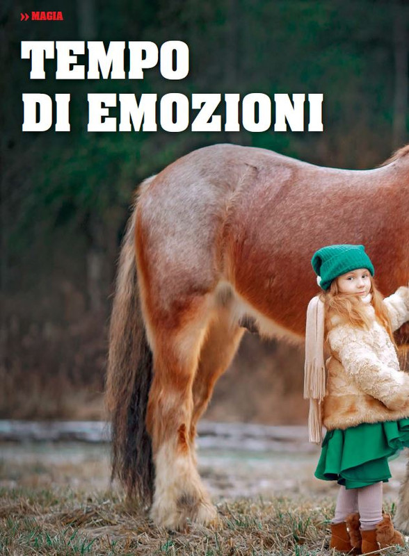 Il Mio Cav (Dic 2022-Gen 2023) 1