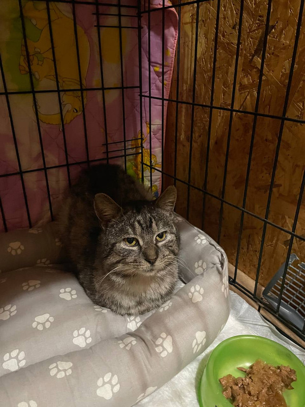 IMG 3f751afbb6aa65aaa8e2e6974207ae04 V