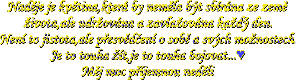 text.gif
